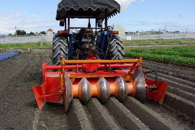 White-headed leek ridging plow--view in new window