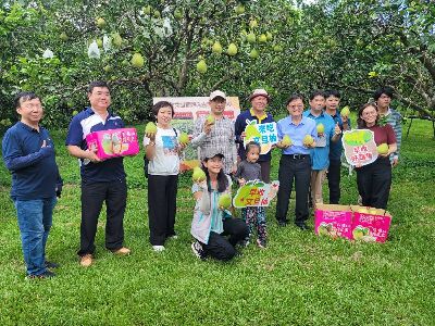 We invite consumers to actively support and purchase Hualien pomelos.--view in new window