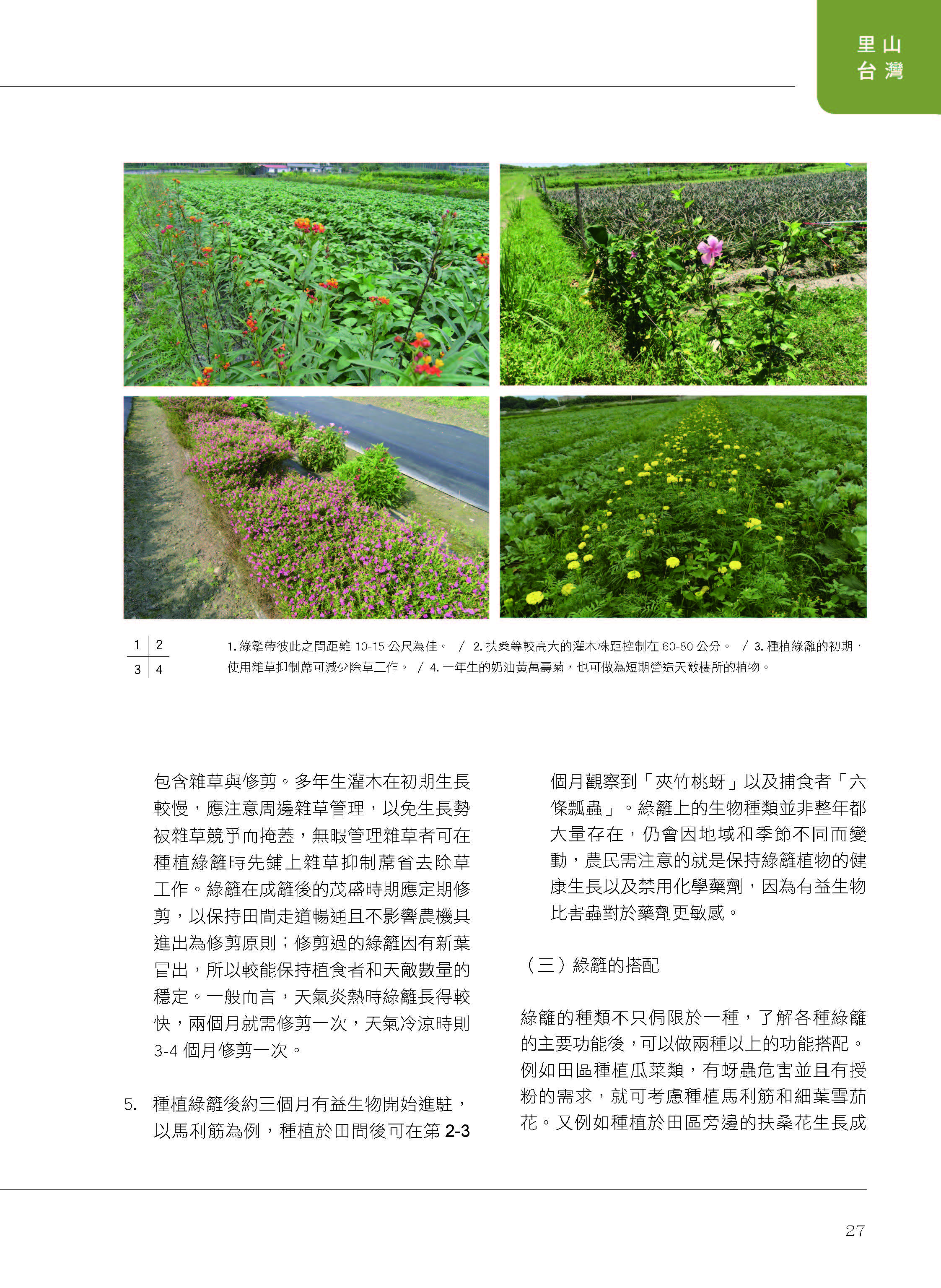 里山台灣－專欄1－研究與現場:農田裡的棲地營造與生物防治-4