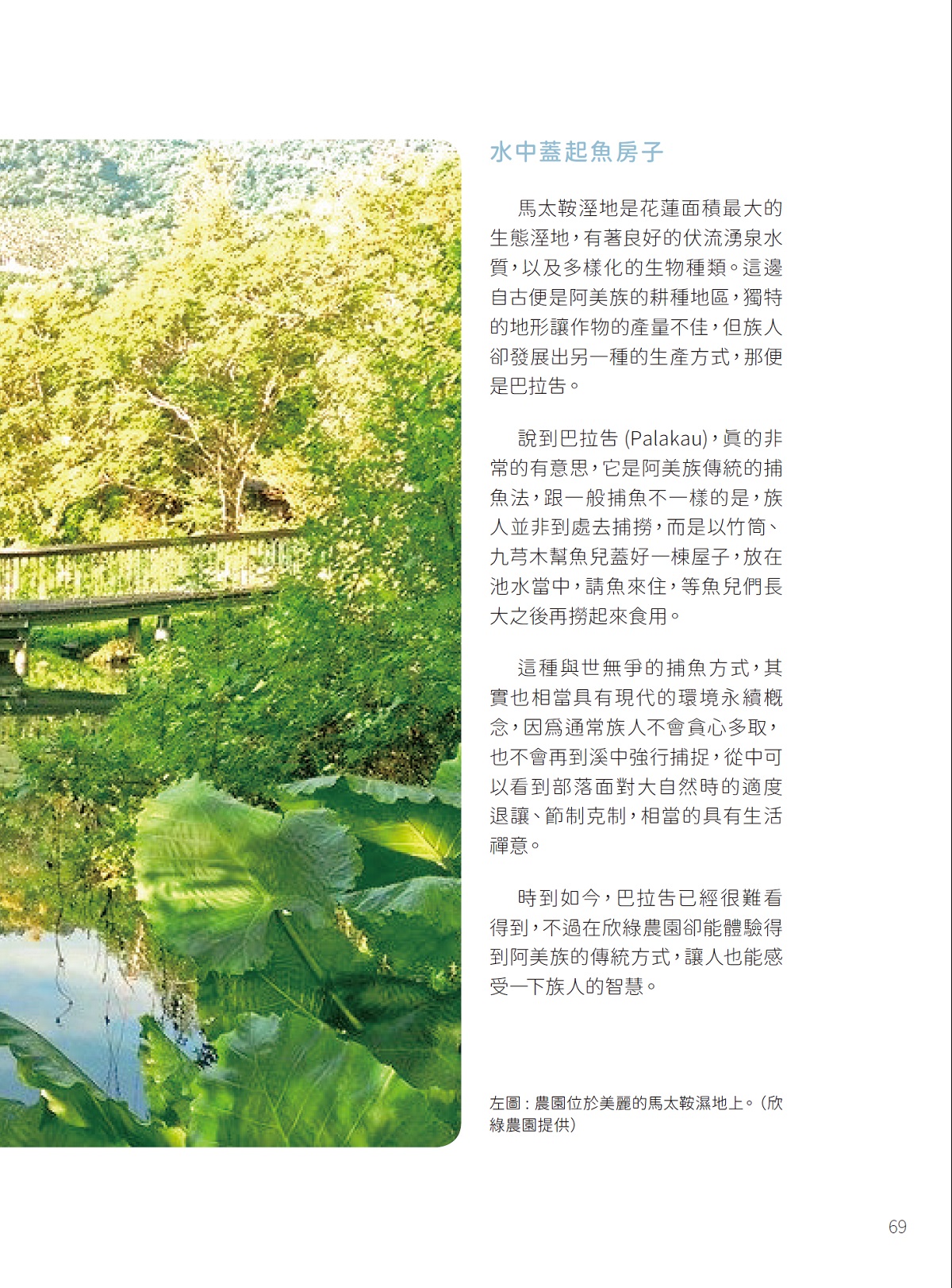 「濃濃原民風」—體驗阿美風情欣綠農園Shin-Liu Farm-4