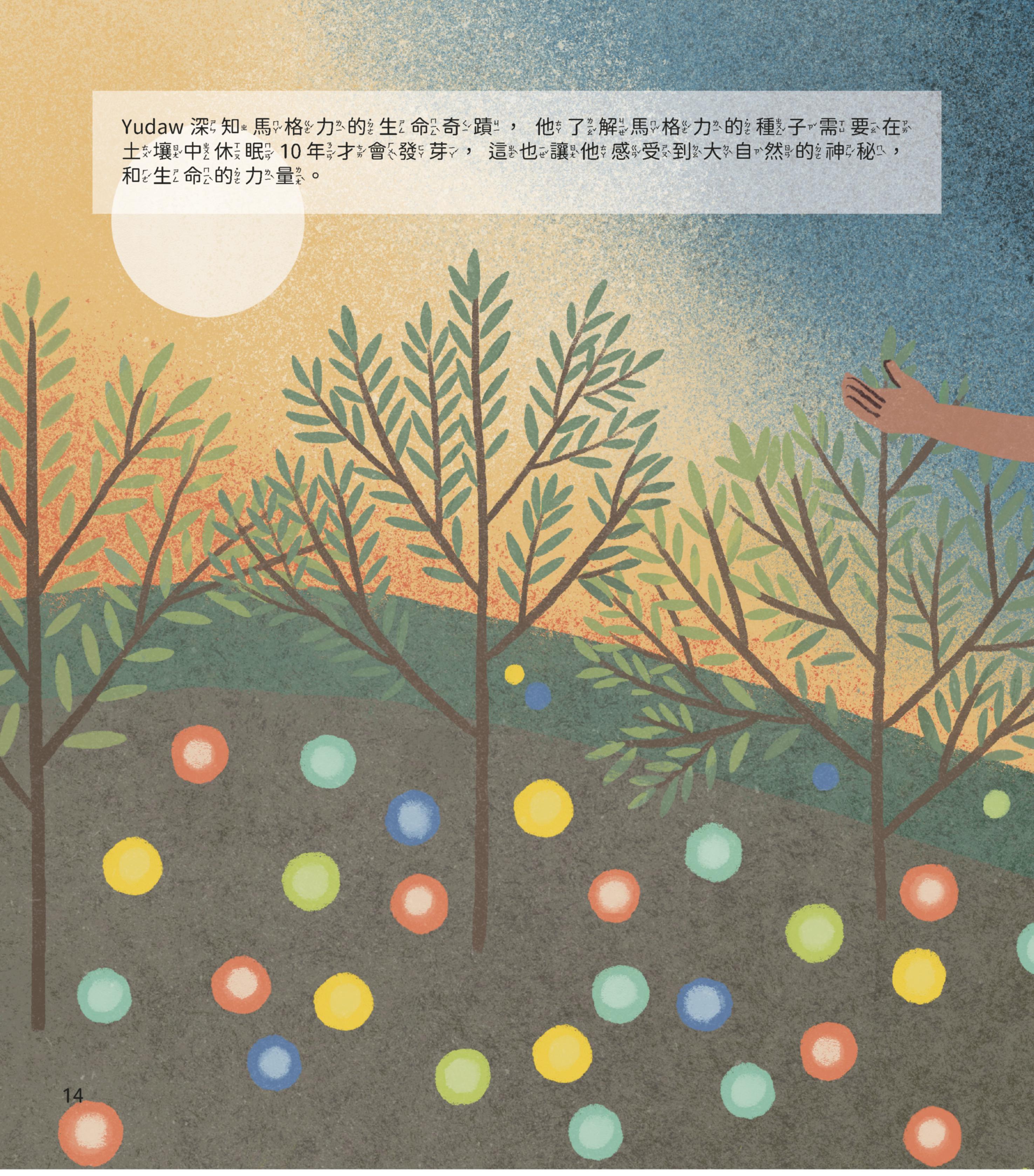 生薑、蕗蕎、鹽巴、山胡椒、辣椒、鹹魚蛋-5