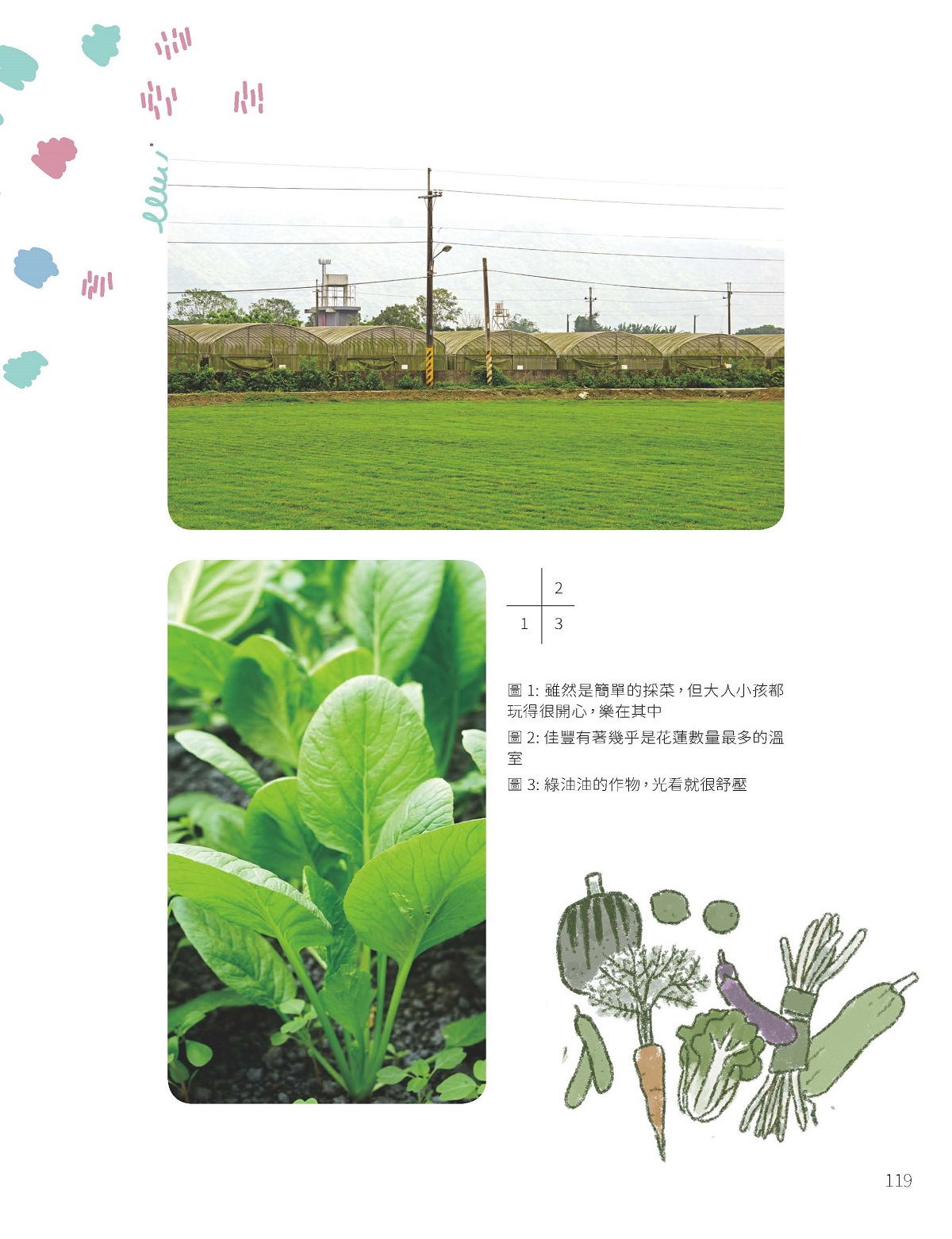 「有機蔬果樂」—一窺大農場的運作佳豐有機農場Chia - Fong Organic Farm-4