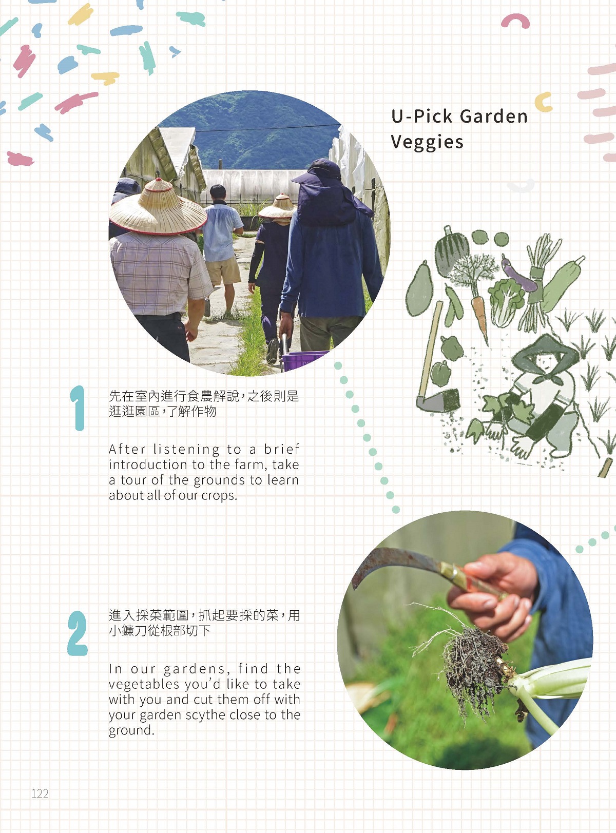 「有機蔬果樂」—一窺大農場的運作佳豐有機農場Chia - Fong Organic Farm-7