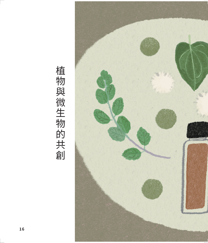 植物-1