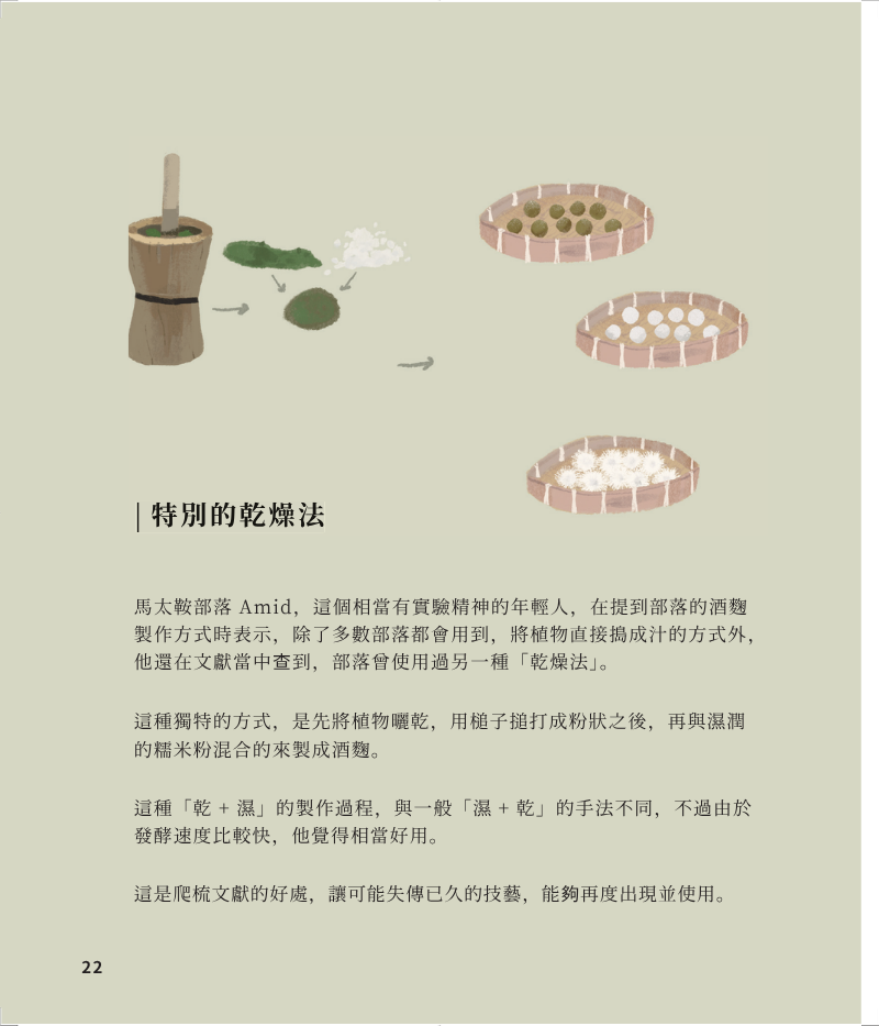 植物-7