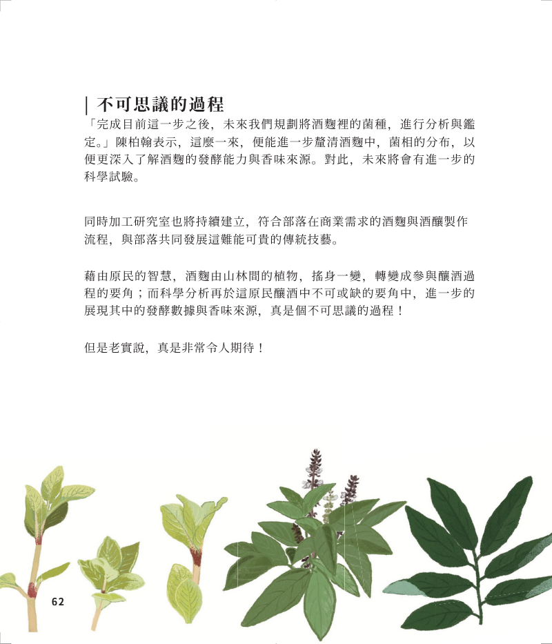 精準-5