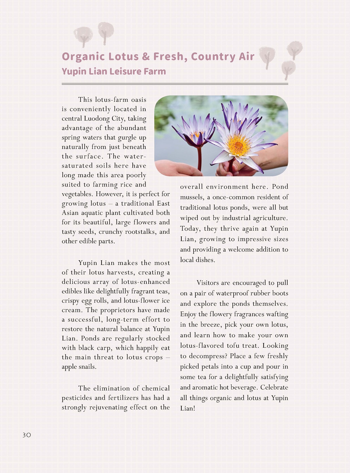 「來水世界玩耍吧」—有機蓮花　滿身香－御品蓮休閒農莊（Yupin Lian Leisuren Farm）-11