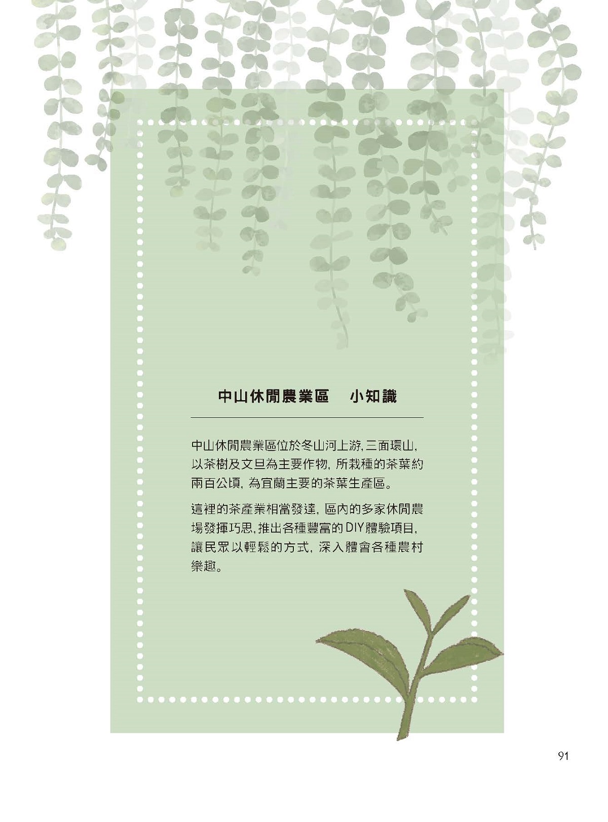 「五彩繽紛任體驗」—搖滾的綠茶—星源茶園（Xing Yuan Tea Farm）-8