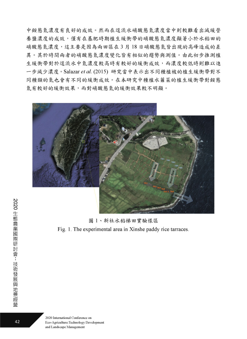 建構植生緩衝帶降低水稻田逕流水營養鹽之研究-4