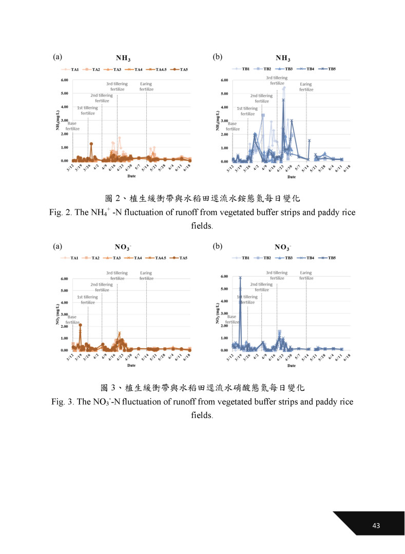 建構植生緩衝帶降低水稻田逕流水營養鹽之研究-5