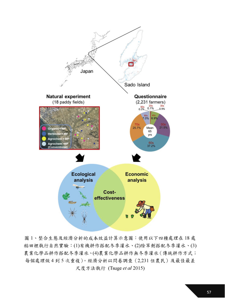 Effectiveness of Wildlife-Friendly Farming on Paddy Field Biodiversity: A Case of Sado Island in Central Japan (友善野生動植物農耕對水稻田生物多樣性的效益：以日本中部佐渡島為例)-11