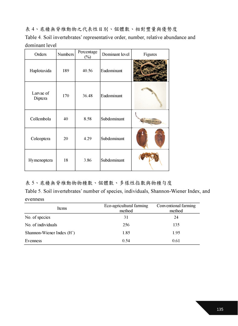 生態農業及慣行農法下水稻田區無脊椎動物與灌溉水量差異比較-7