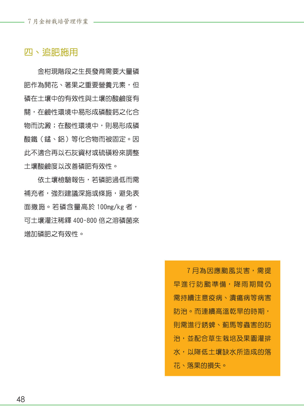 花期、幼果期及果實肥大期-7月金柑栽培管理作業-6
