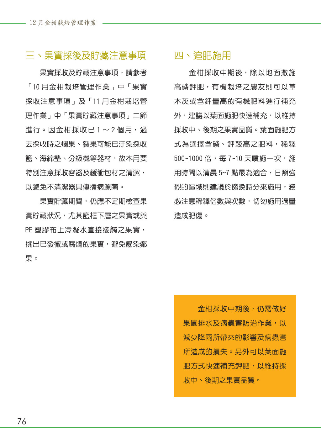 12月金柑栽培管理作業-4