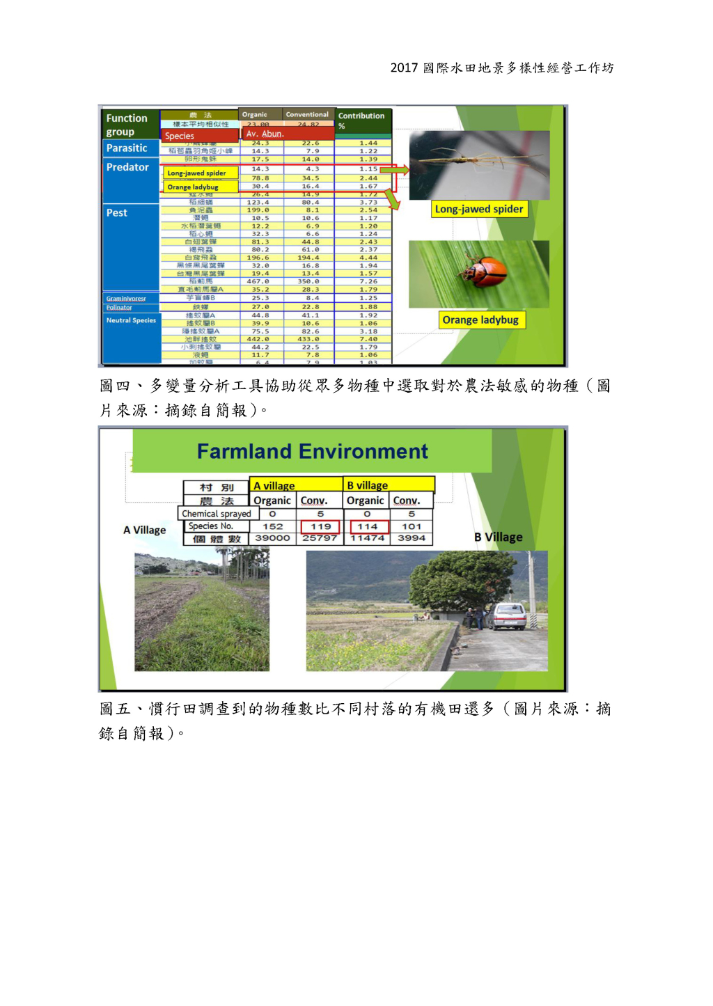 Study in Biodiversity between Conventional and Organic Paddy and Beneficial Insect Habitat Manipulation.-5