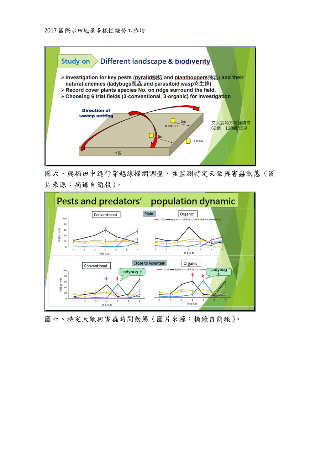 Study in Biodiversity between Conventional and Organic Paddy and Beneficial Insect Habitat Manipulation.-6