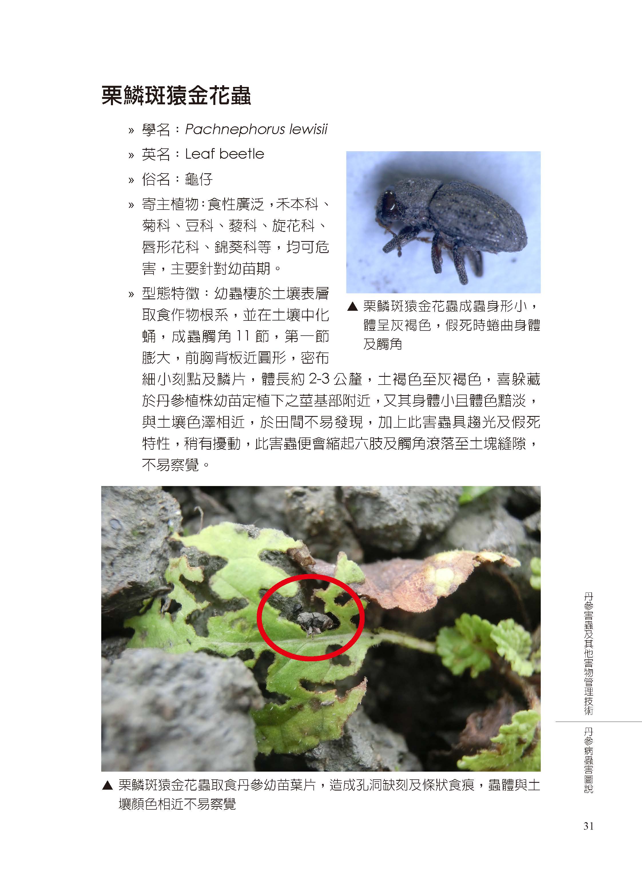 丹參害蟲及其他有害生物管理-11