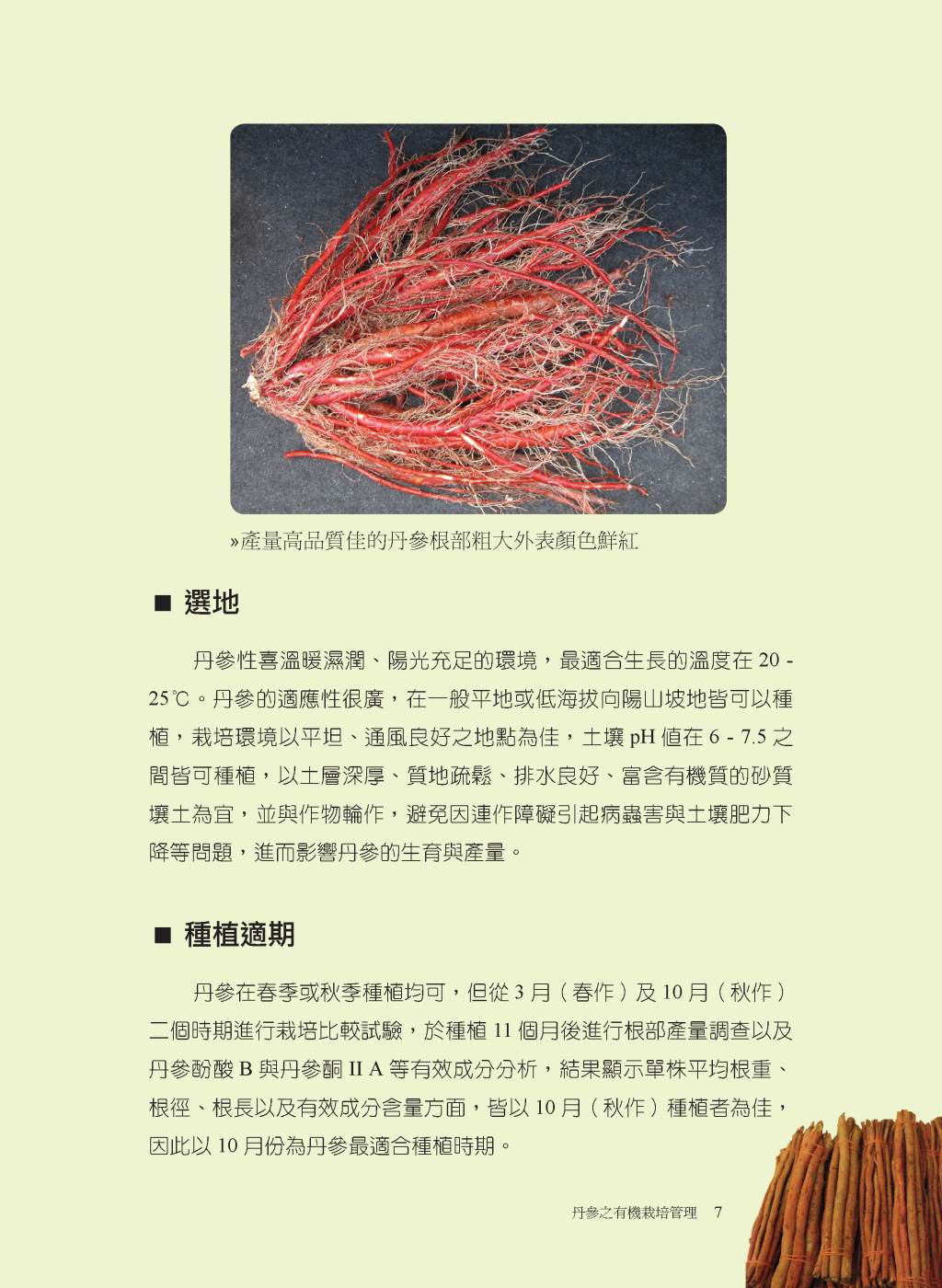 丹參的有機栽培管理-2