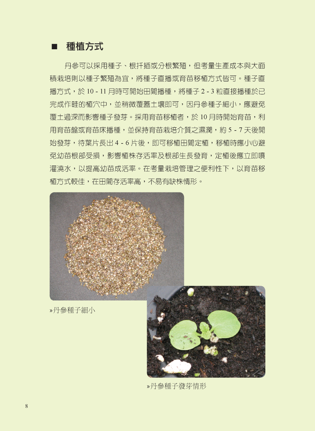 丹參的有機栽培管理-3