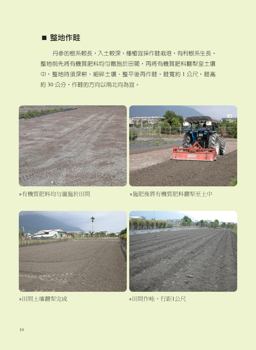 丹參的有機栽培管理-5