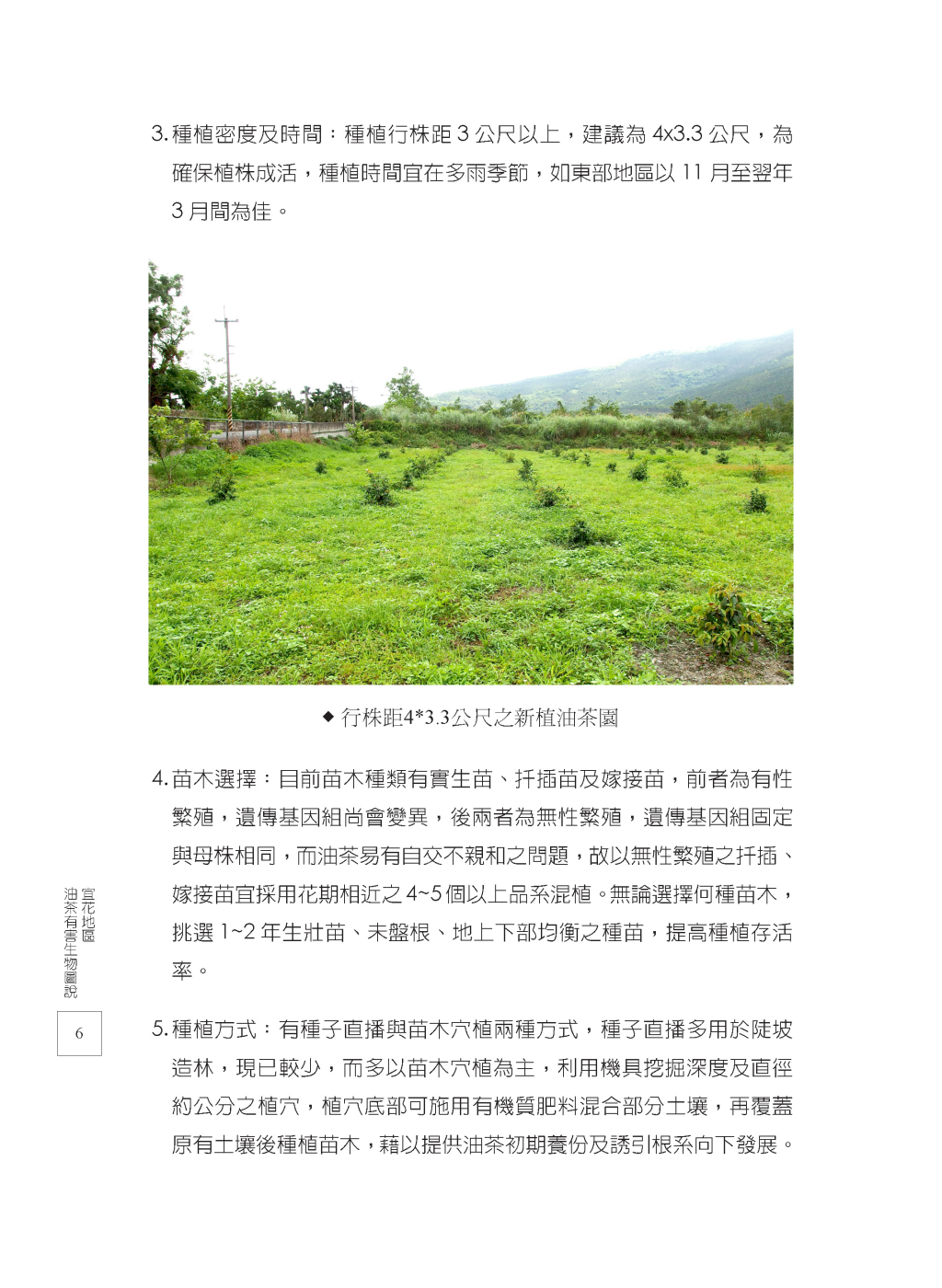 油茶栽培管理簡介-2