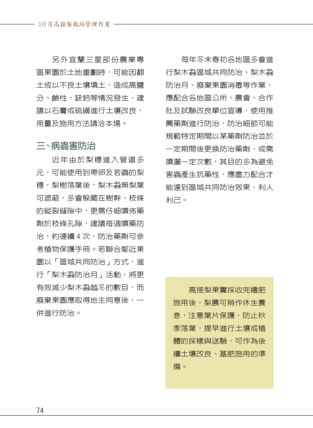 10月高接梨栽培管理作業-4