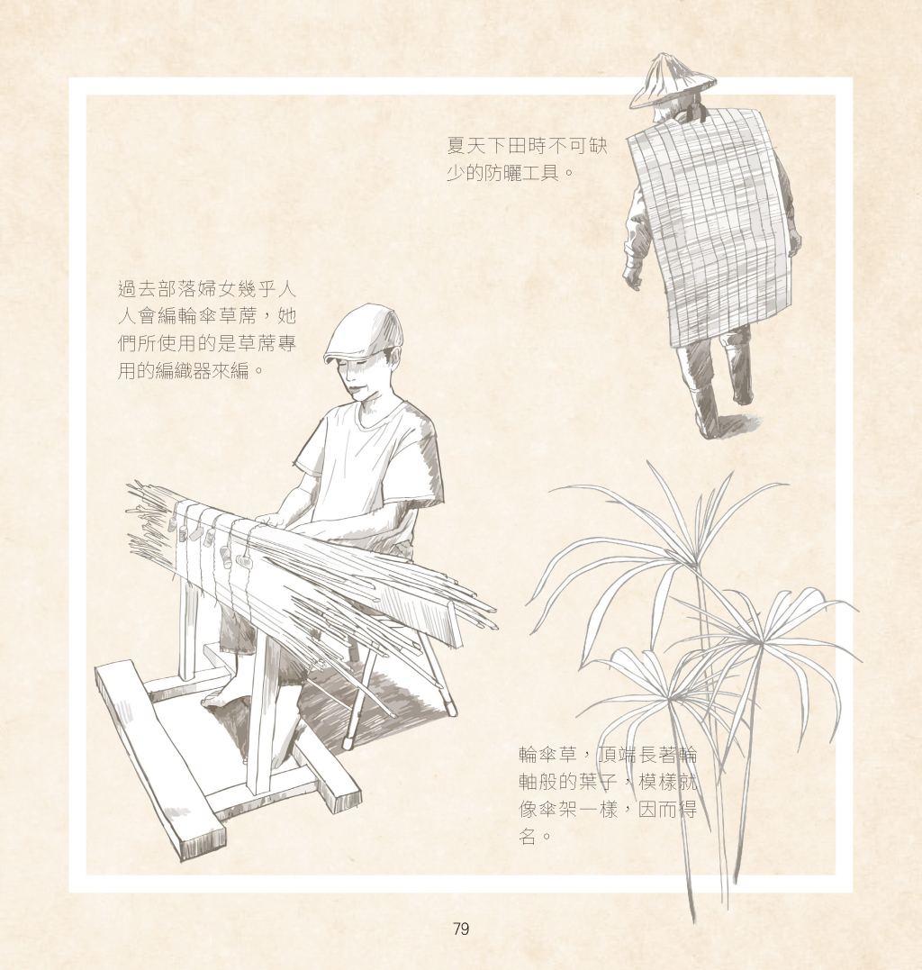 阿美族輪傘草編織＋ Kamaro’an-12