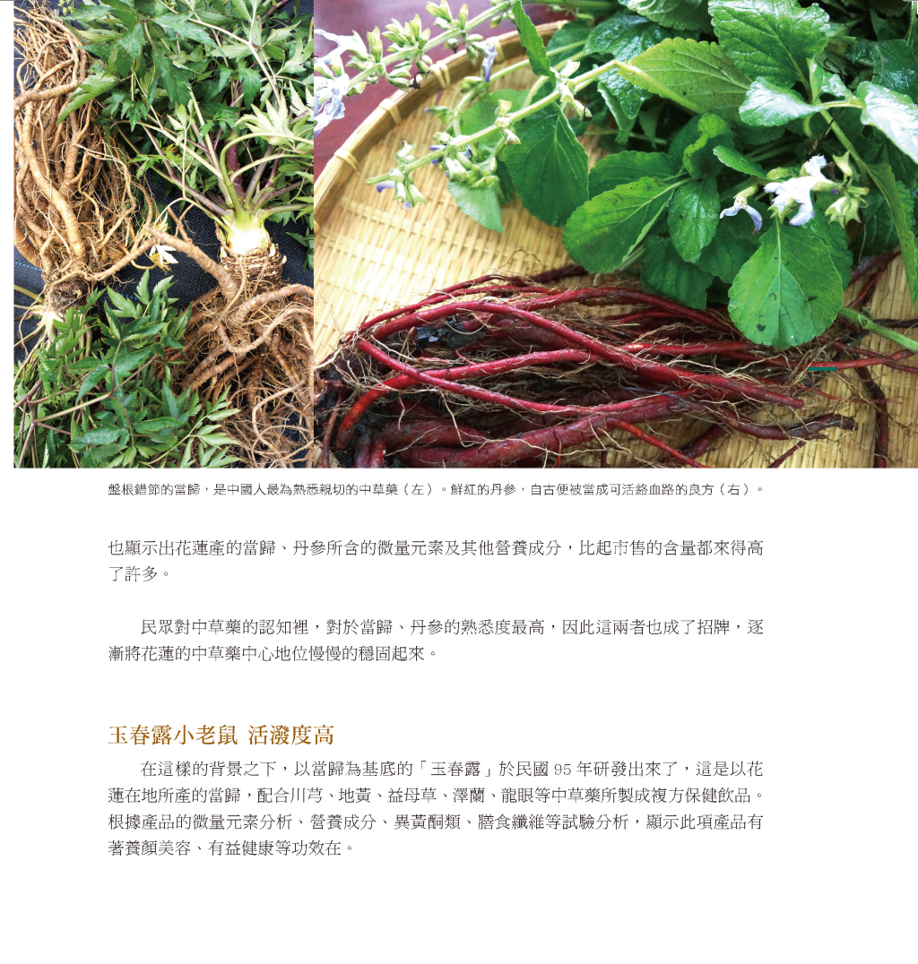 建立中草藥產業鏈體系-2