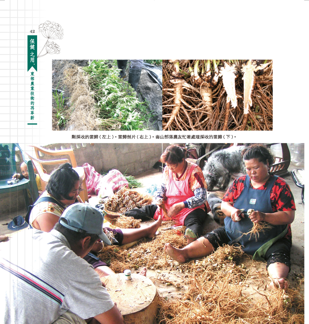 建立中草藥產業鏈體系-3