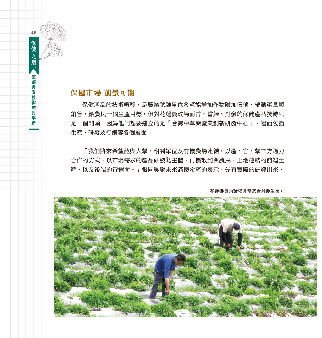 建立中草藥產業鏈體系-7