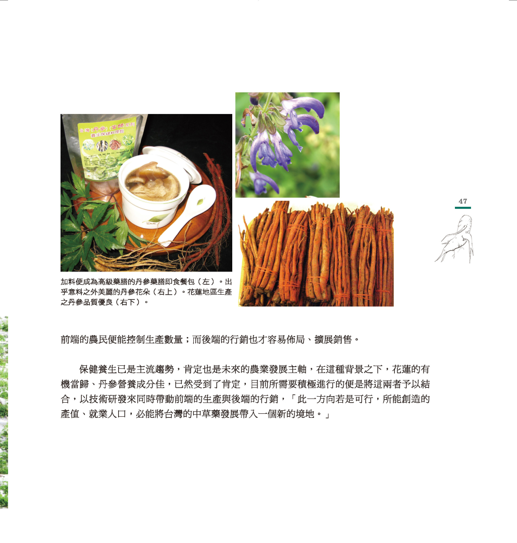 建立中草藥產業鏈體系-8