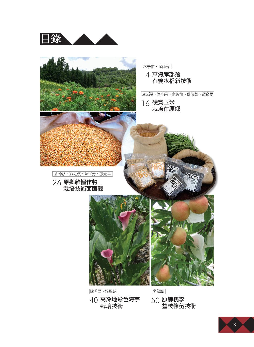 目錄