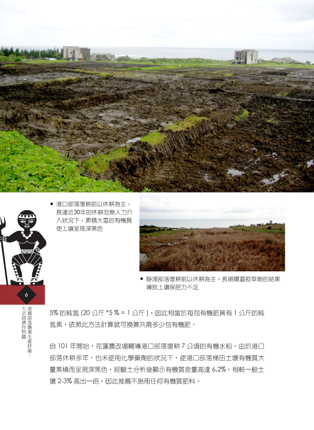 有機水稻新技術-3