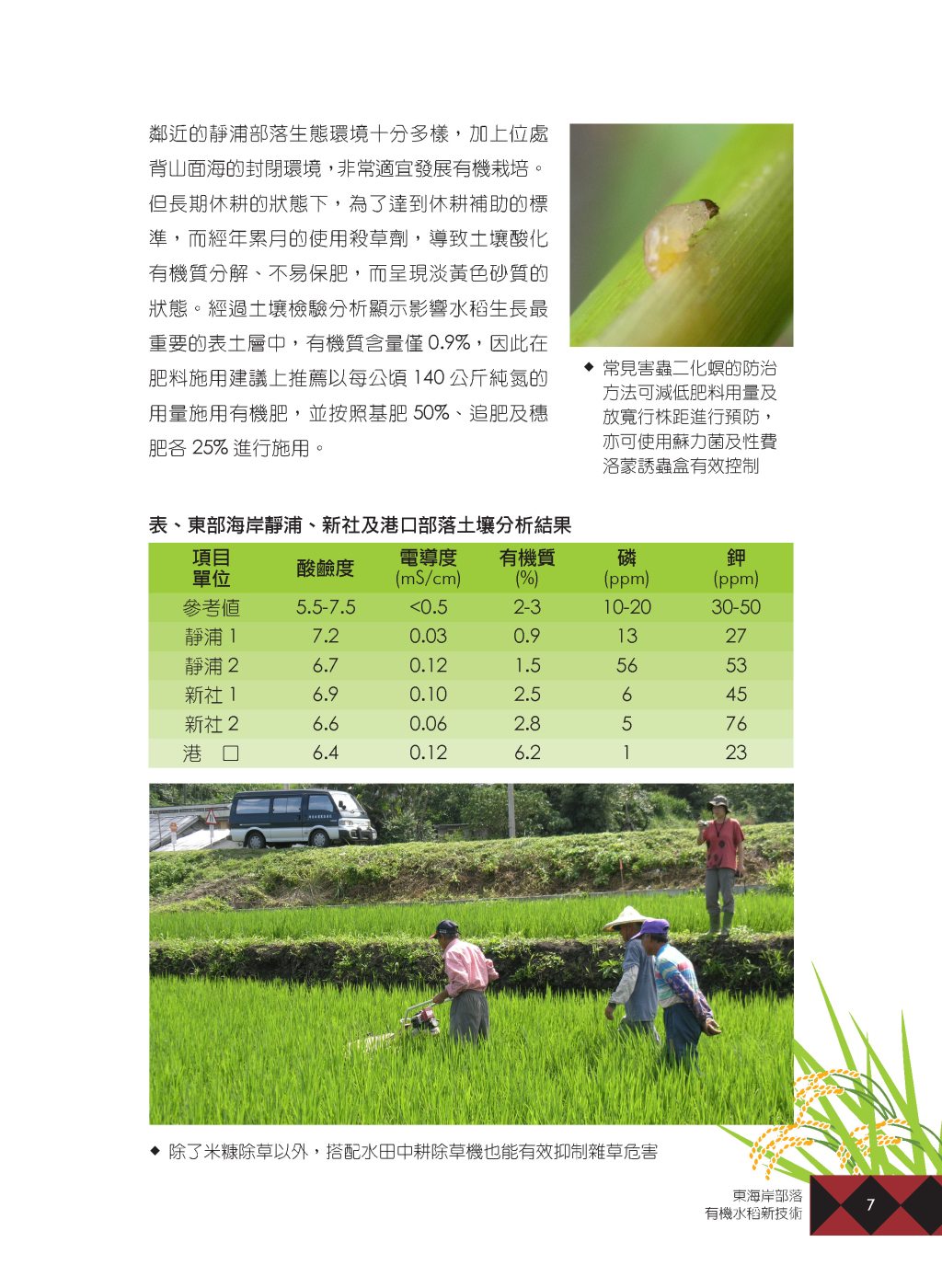 有機水稻新技術-4