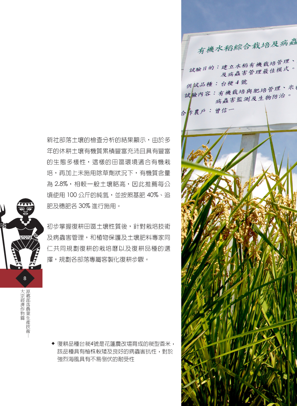有機水稻新技術-5