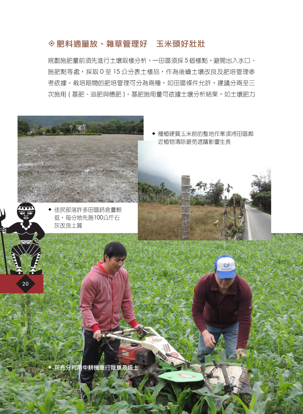 硬質玉米-5