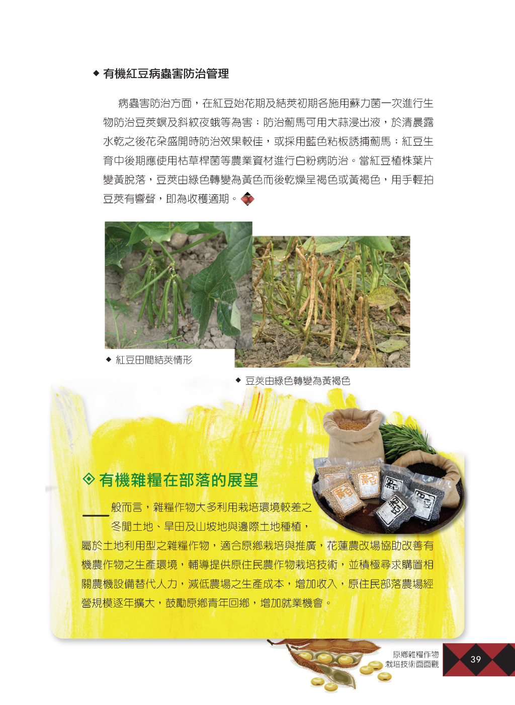 原鄉雜糧作物-14