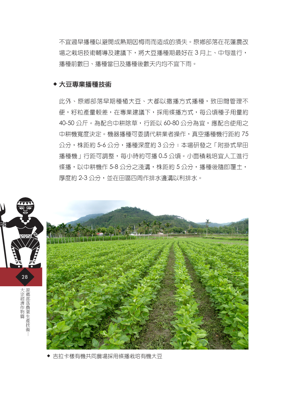 原鄉雜糧作物-3