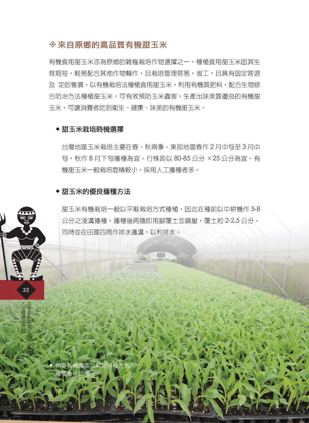 原鄉雜糧作物-7
