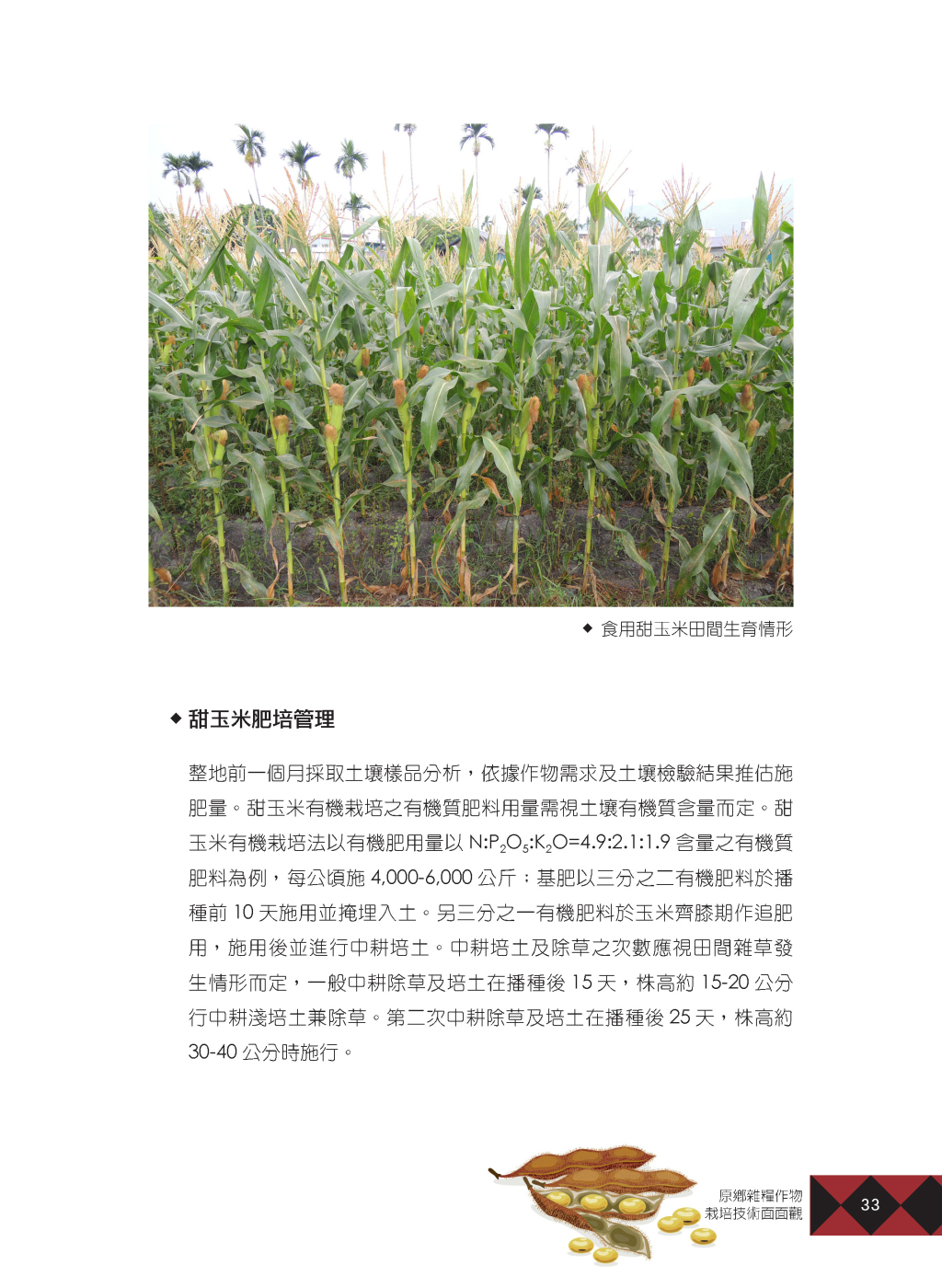 原鄉雜糧作物-8