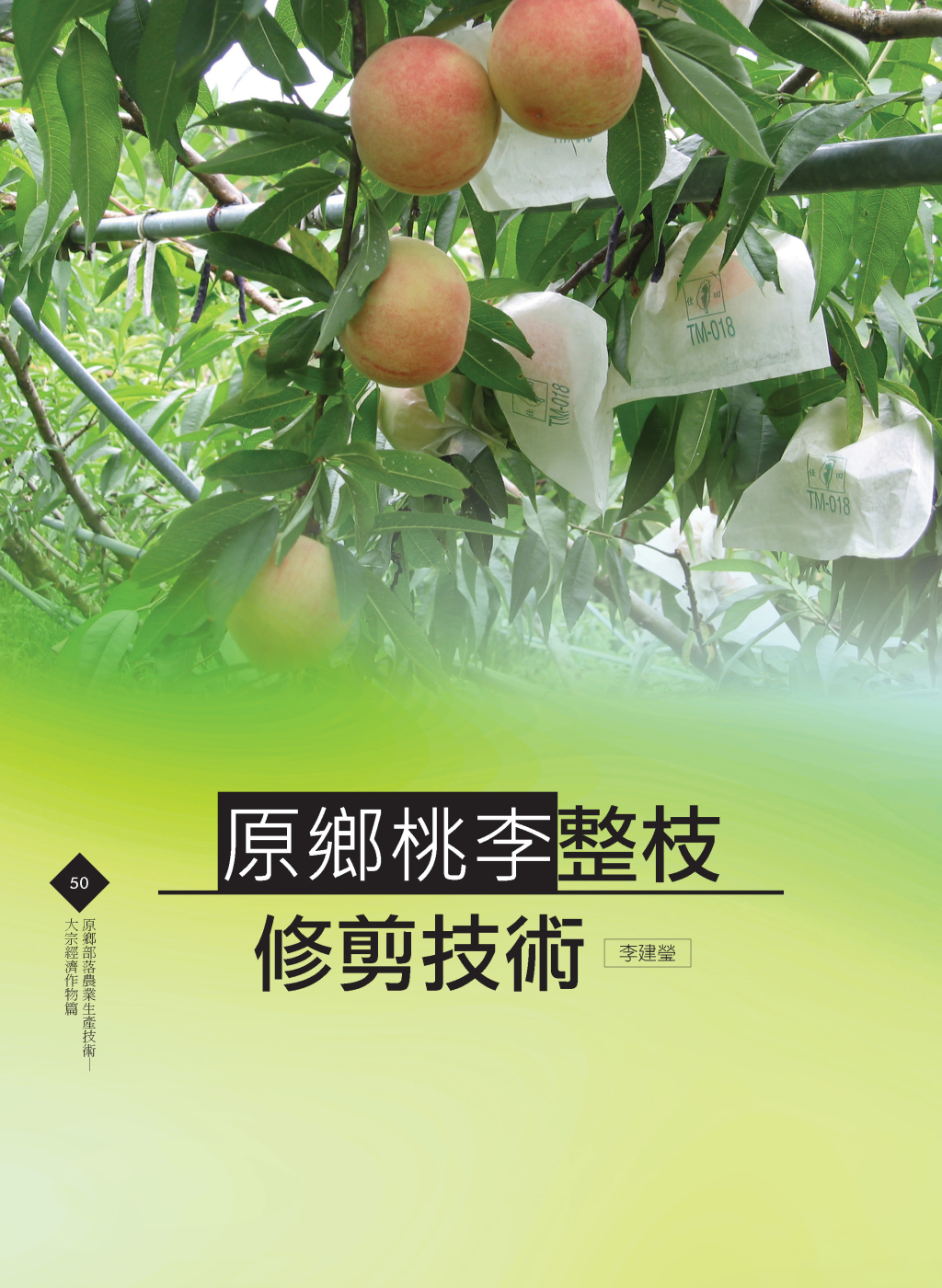 原鄉桃李-1