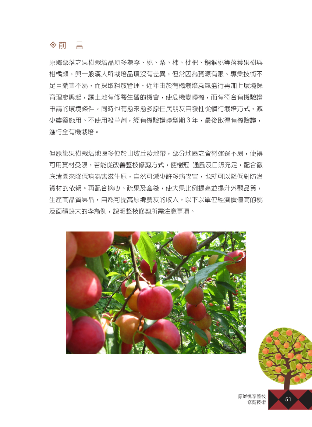 原鄉桃李-2
