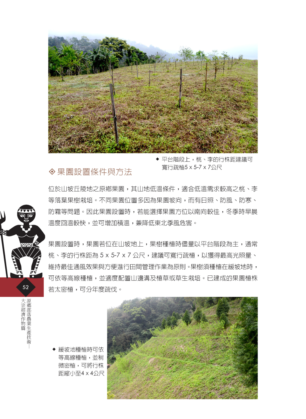 原鄉桃李-3