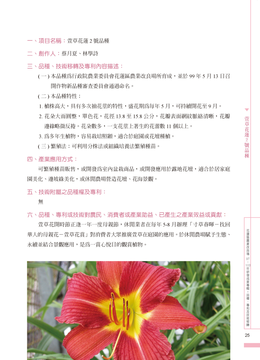 萱草花蓮2 號品-1