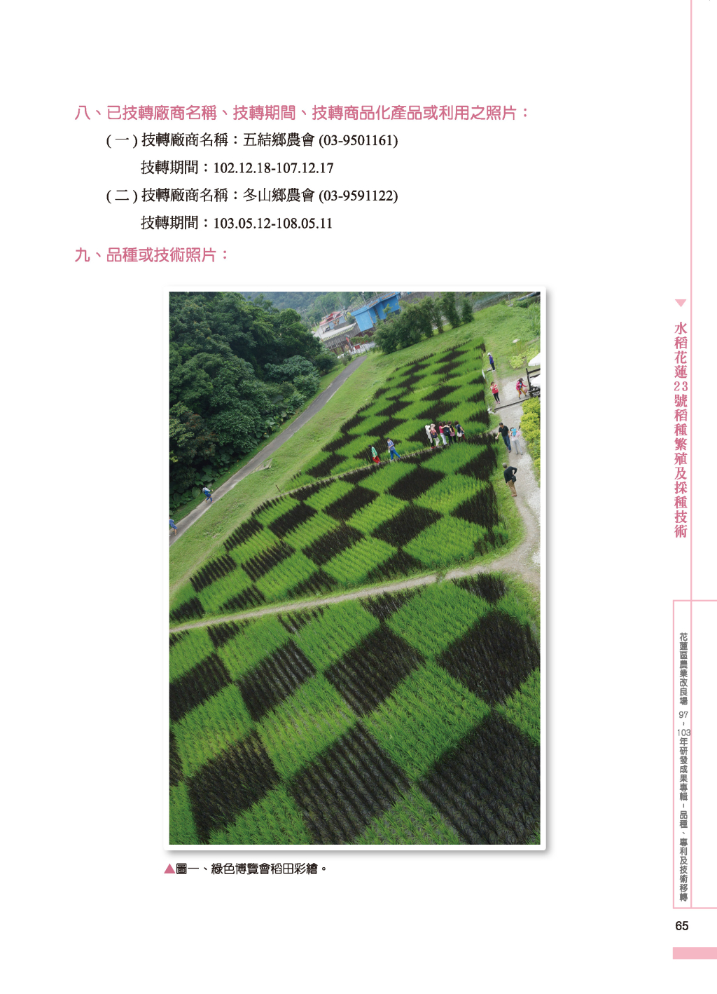 水稻花蓮23 號-2