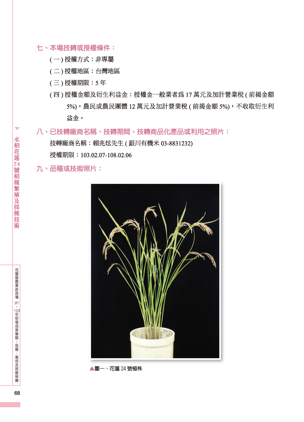 水稻花蓮24 號-2