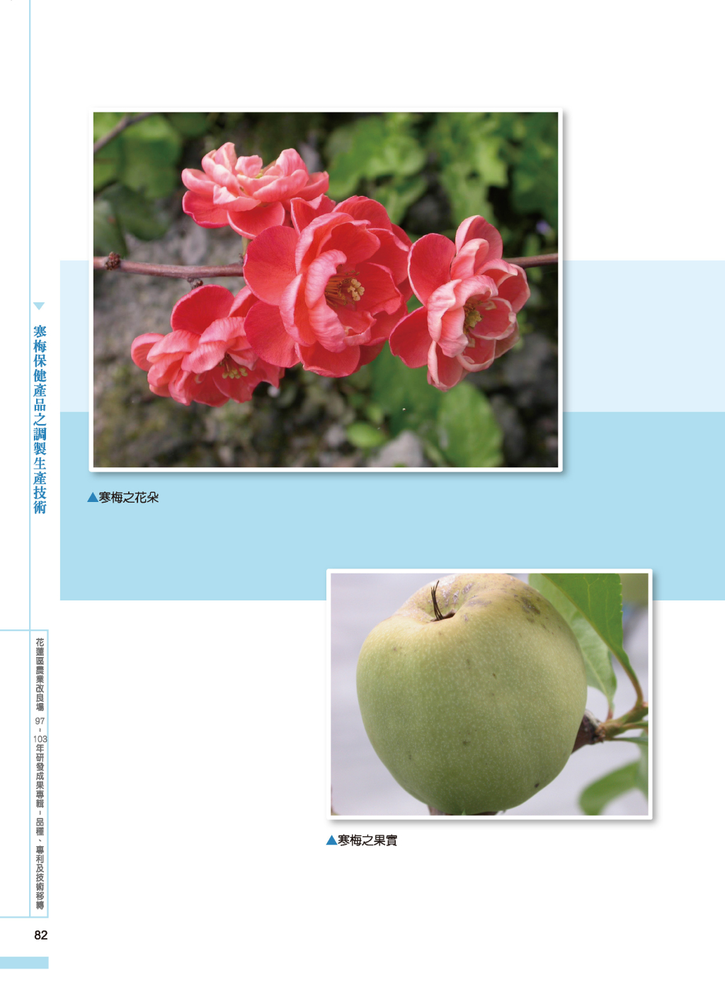 寒梅保健產品之調製-3