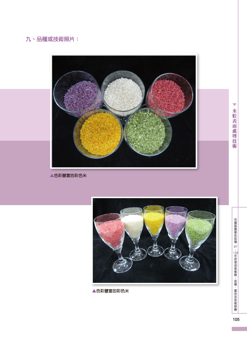 米粒表面處理-2