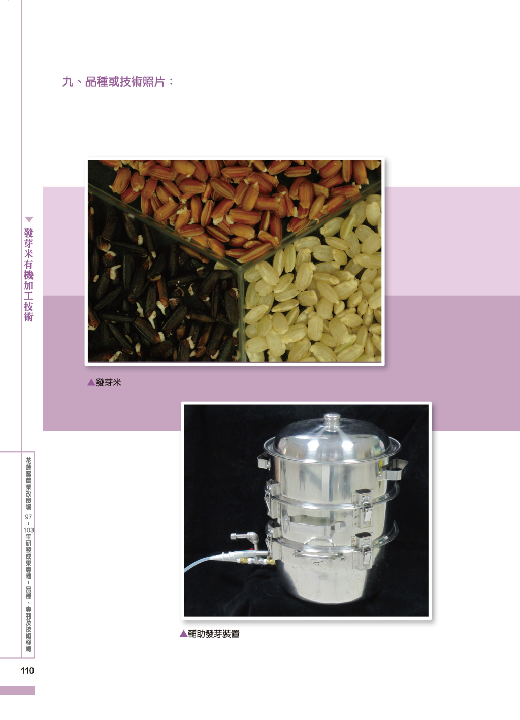 發芽米有機加工-2