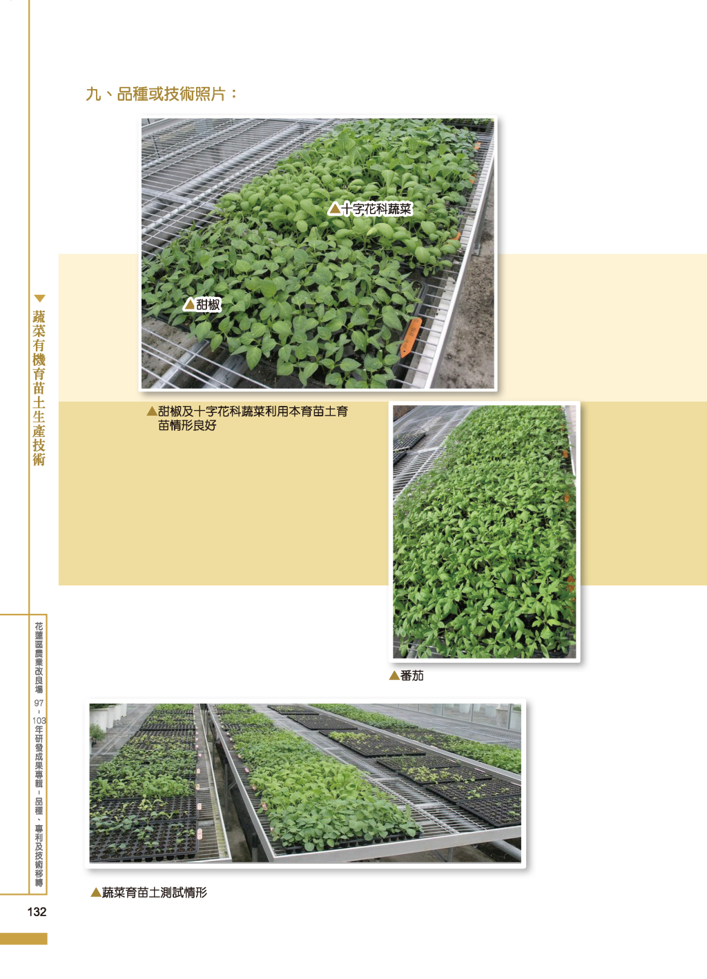蔬菜有機育苗土生產-2